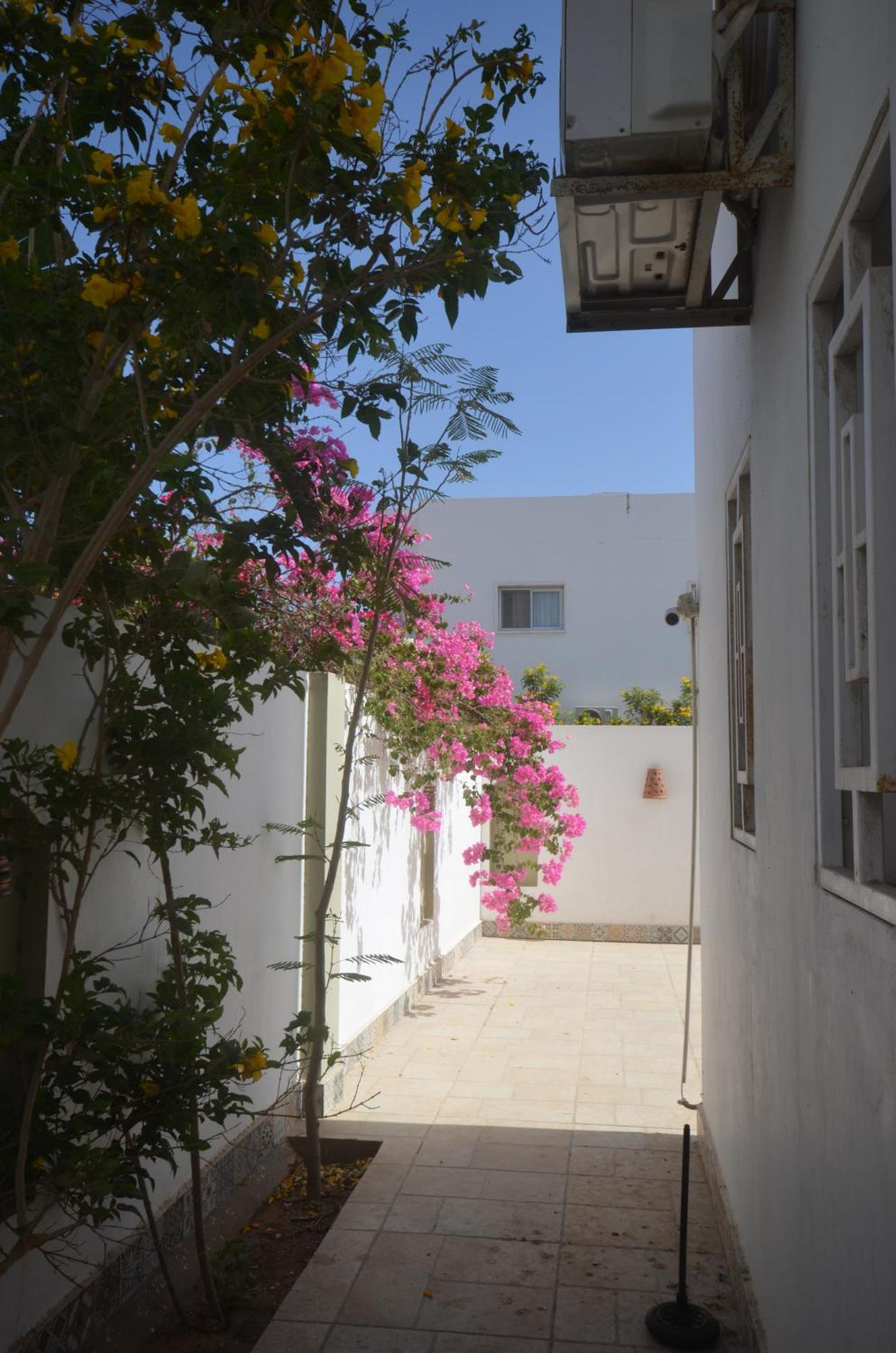 Elite Residence Dahab Kültér fotó